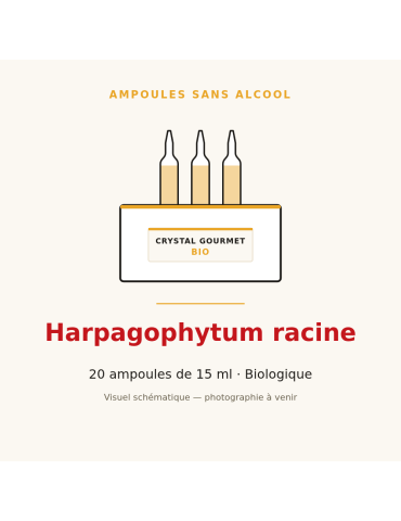 Harpagophytum racine bio en ampoules - 20 x 15 ml