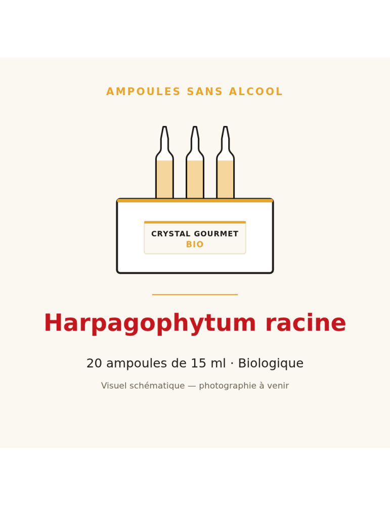 Harpagophytum racine bio en ampoules - 20 x 15 ml