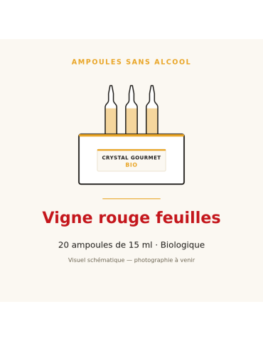 Vigne rouge feuilles bio en ampoules - 20 x 15 ml