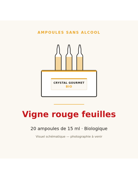 Vigne rouge feuilles bio en ampoules - 20 x 15 ml
