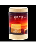 Boswellia Serrata - 180 gélules de 250 mg | Crystal Gourmet