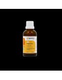 Ginkgo biloba bio - macérat de bourgeons frais 50 ml