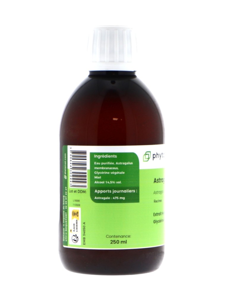 Teinture mère d'Astragale (Astragalus membranaceus) - 125 ml