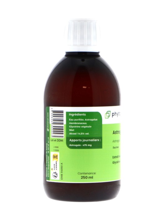 Teinture mère d'Astragale (Astragalus membranaceus) - 125 ml