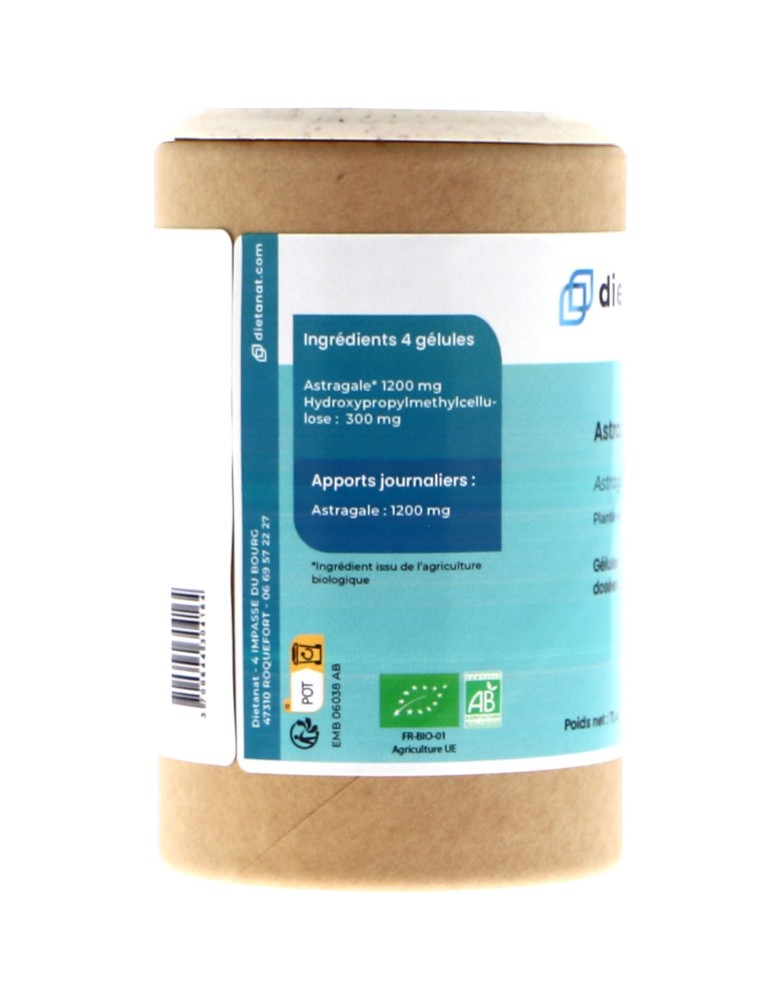 Teinture mère d'Astragale (Astragalus membranaceus) - 125 ml
