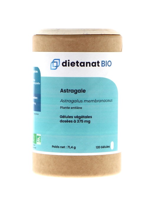 Teinture mère d'Astragale (Astragalus membranaceus) - 125 ml