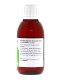 Teinture mère de Curcuma (Safran des Indes) bio - 125 ml