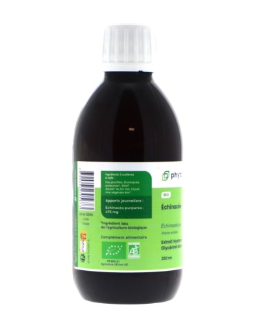 Teinture mère d'Échinacée pourpre bio - 125 ml | Crystal Gourmet 2