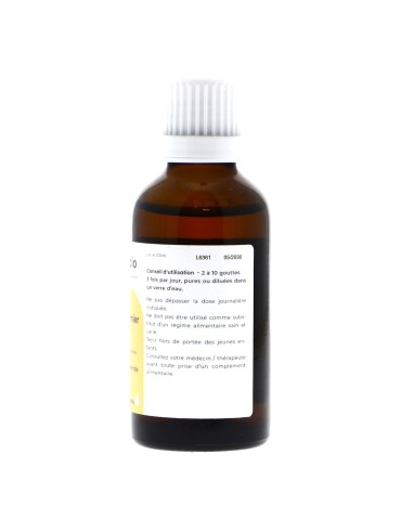 Teinture mère de Gui bio (Viscum album) - 125 ml 2
