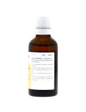 Teinture mère de Gui bio (Viscum album) - 125 ml