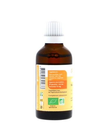 Teinture mère de Gui bio (Viscum album) - 125 ml
