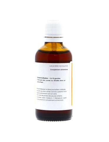 Teinture mère de Myrtille bio 125 ml - Vaccinium myrtillus