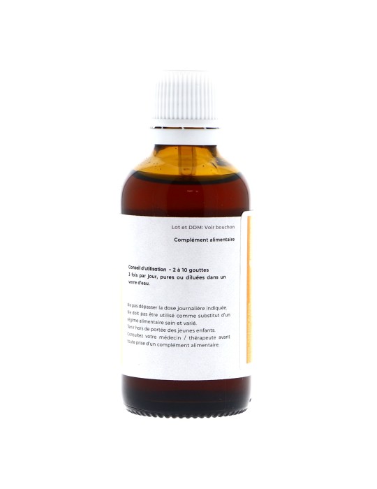 Teinture mère de Myrtille bio 125 ml - Vaccinium myrtillus