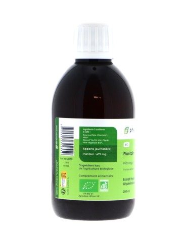 Teinture mère de Plantain major bio 125 ml - Plantago major 2
