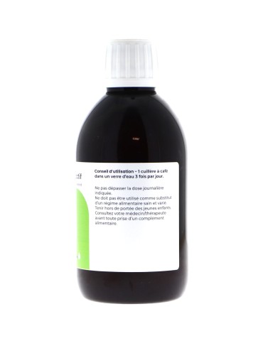 Teinture mère d'Angélique bio 125 ml - Angelica archangelica