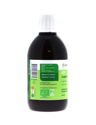 Teinture mère d'Angélique bio 125 ml - Angelica archangelica 2