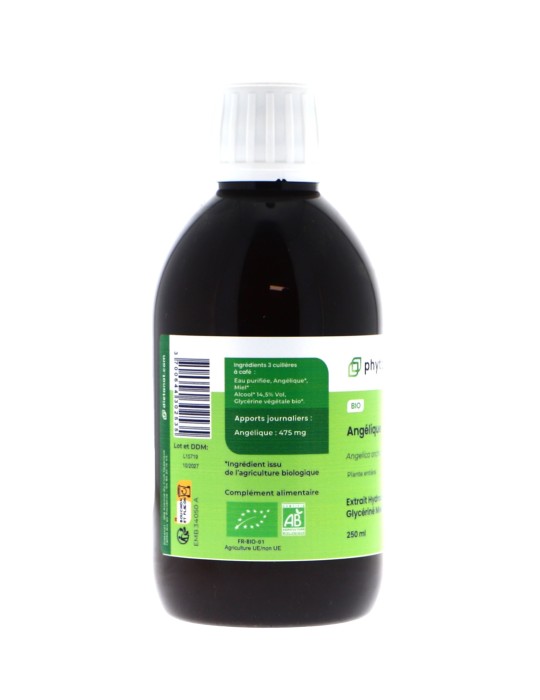 Teinture mère d'Angélique bio 125 ml - Angelica archangelica