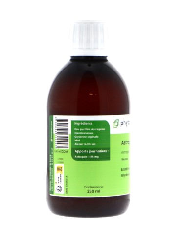 Teinture mère d'Astragale bio 125 ml - Astragalus membranaceus 2