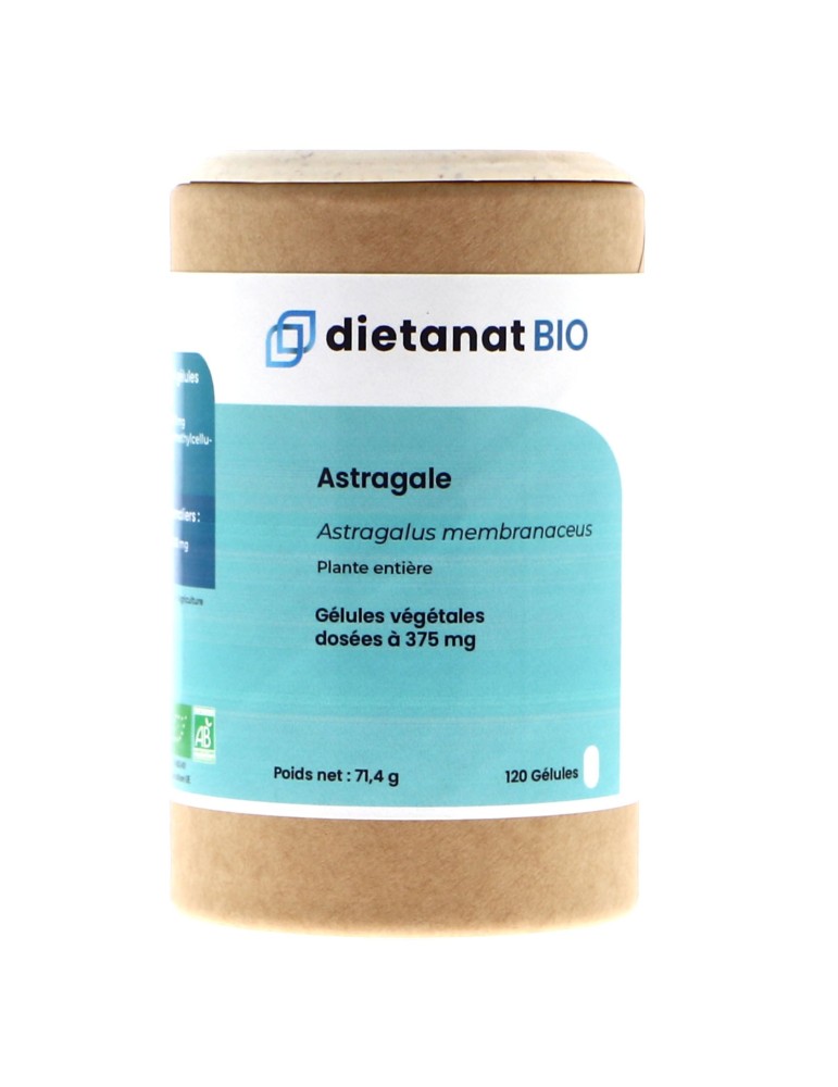 Teinture mère d'Astragale bio 125 ml - Astragalus membranaceus