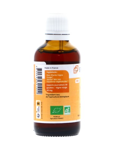 Teinture mère de Vigne rouge bio 125 ml - Vitis vinifera 2