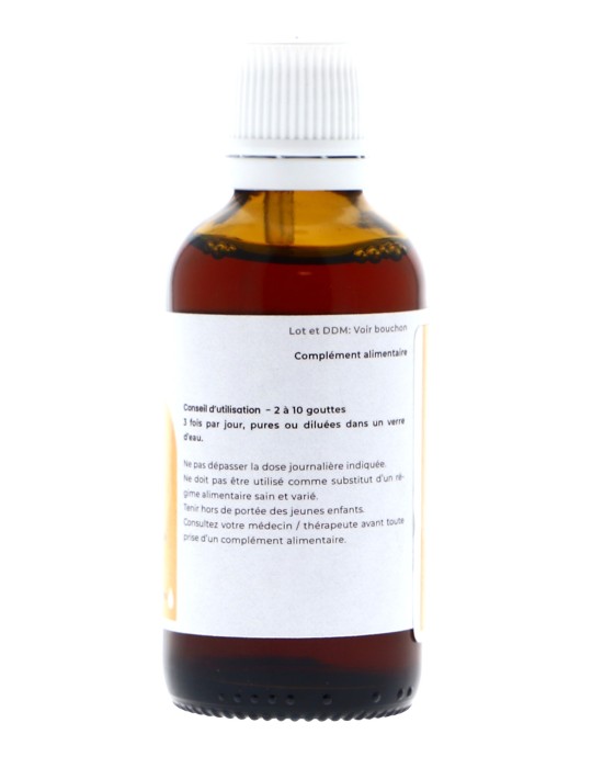 Teinture mère de Vigne rouge bio 125 ml - Vitis vinifera