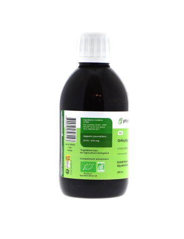 Teinture mère d'Ortie piquante bio 125 ml - Urtica dioica 2