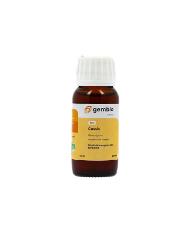 Teinture mère de Cassis bio 125 ml - Ribes nigrum