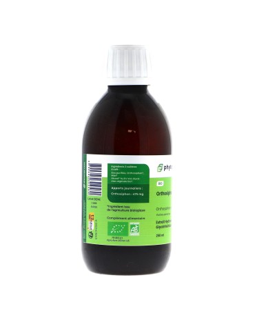 Teinture mère d'Orthosiphon 125 ml - Orthosiphon stamineus 2