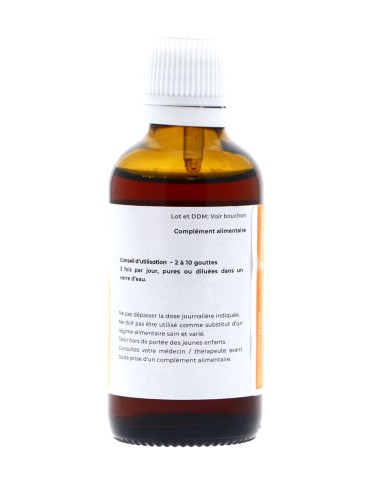 Teinture mère de Tilleul argenté bio 125 ml - Tilia tomentosa 2