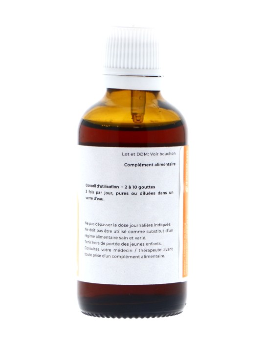 Teinture mère de Tilleul argenté bio 125 ml - Tilia tomentosa