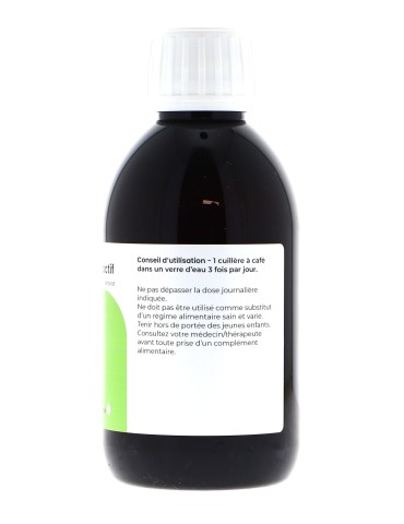 Teinture mère de Pissenlit bio 125 ml - Taraxacum officinale 2
