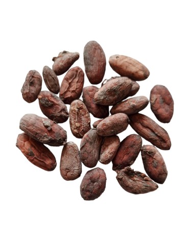 Fèves de Cacao crues Bio non torréfiées - 5 kg | Crystal Gourmet