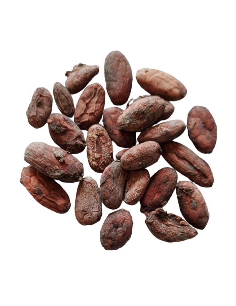 Fèves de Cacao crues Bio non torréfiées - 5 kg | Crystal Gourmet