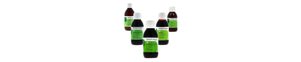 Teintures mères bio de plantes fraîches | Crystal Gourmet