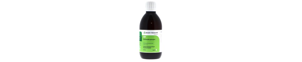 Extraits de plantes fraîches bio 250 ml | Crystal Gourmet
